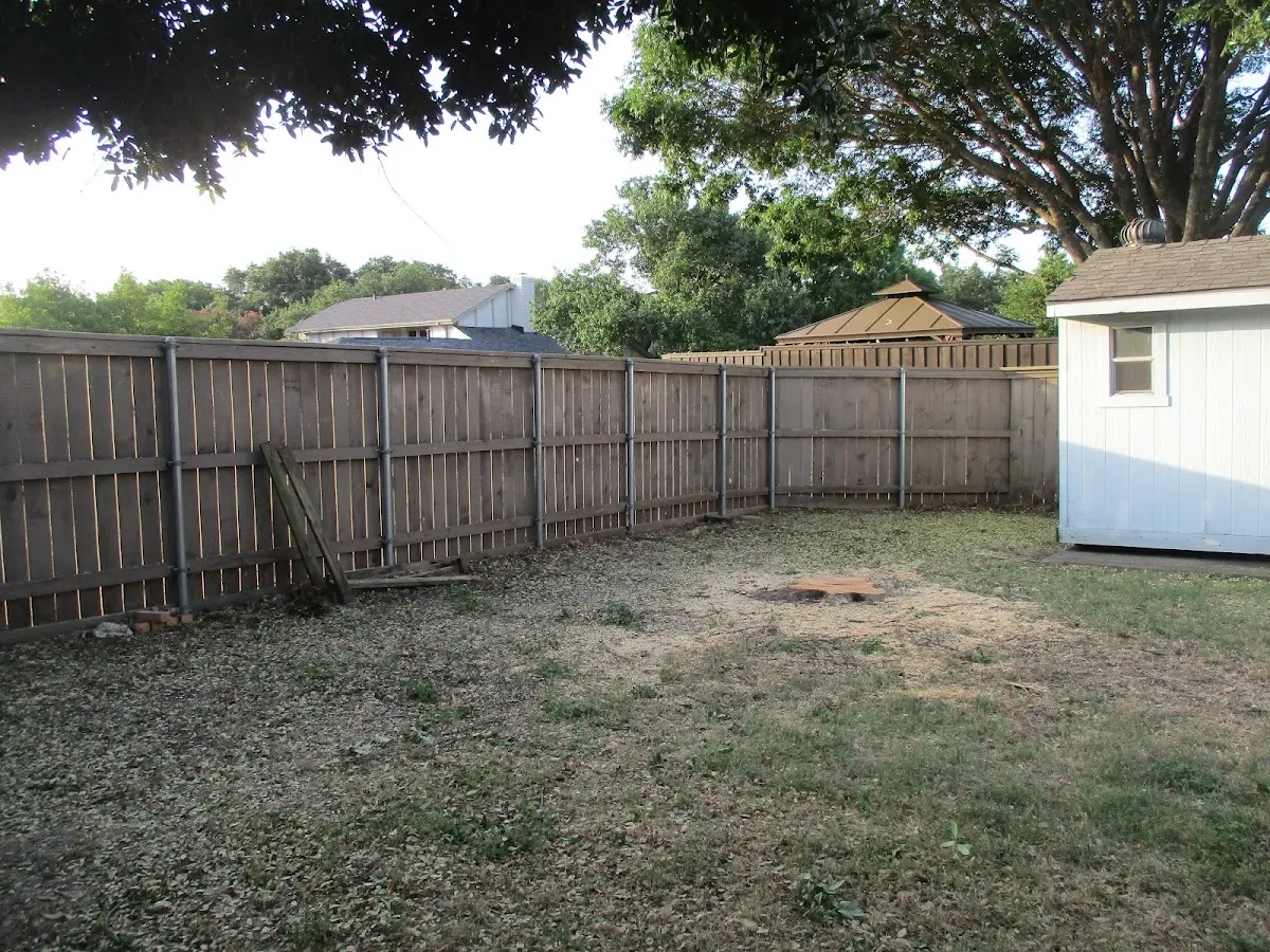 Cleared yard after professional tree removal in Alliance